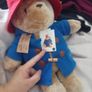 Paddington Teddy Bear Image 2