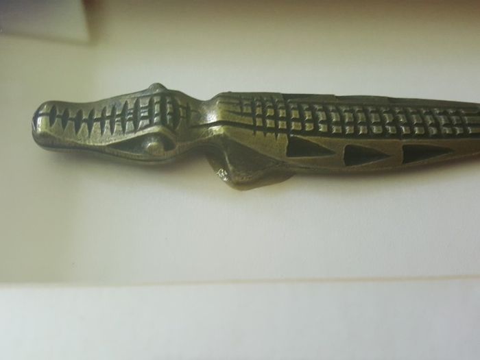 Frame with Croc