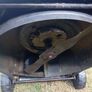 Pro-Lawn petrol lawnmower Image 6