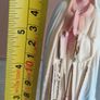 vintage celluloid image Virgin Mary statue our lady of fatima portugal Image 2