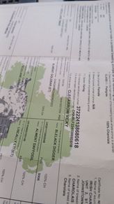 Pbr ch hefers with certs