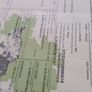 Pbr ch hefers with certs Image 4