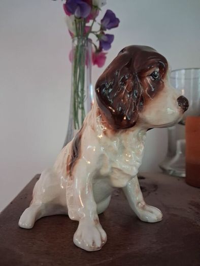 SylVac Cocker Spaniel