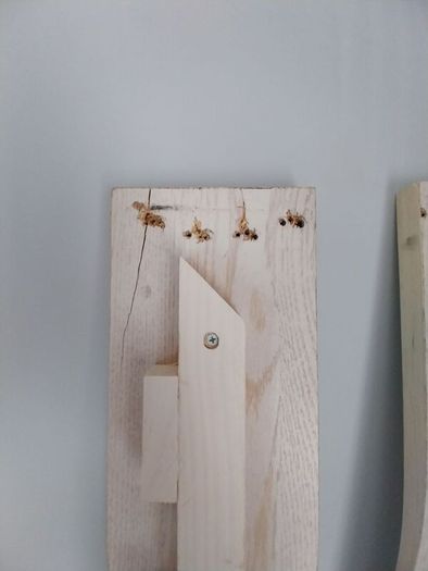 5 Foot Bed Frame
