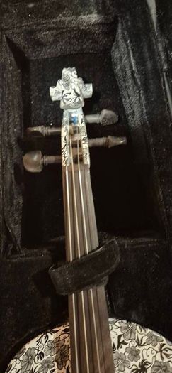 Thomann Dark Meadow Violin 4/4 with case