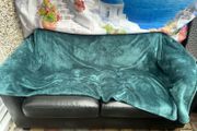 free 2 seater black leather sofa