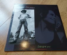 Shawn Colvin - Steady On - Vinyl Record