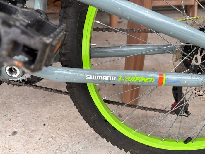 Mountain bike (kids)