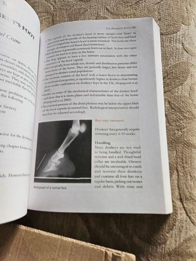 The Professional Handbook Of The Donkey. 4th Edition.  By Dr Elizabeth D. Svendsen. Edited By Professor James Duncan. In Good Condition.  See Photos For Same.