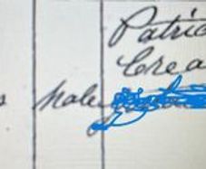 Tom Crean - Birth Certificate - Irish Antarctic Explorer - Free Postage