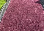 Extra Large thick chunky Rug aubergine colour