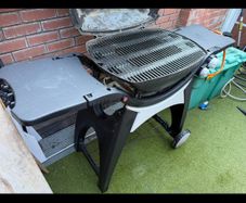 Weber Q-Series Q300 Gas Grill BBQ