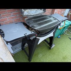 Weber Q-Series Q300 Gas Grill BBQ
