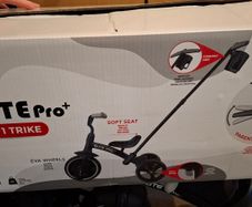 2 in 1 Trike