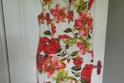 Ladies Dress