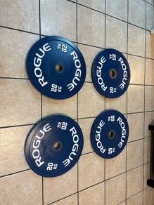 Rogue Steel Competition Olympic Weight Plates, Cheap!!