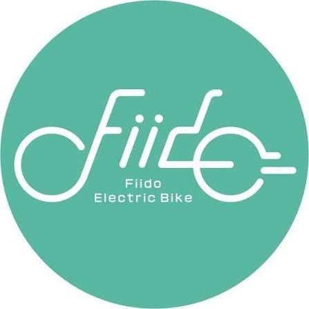 Fiido Electric Bike Servicing