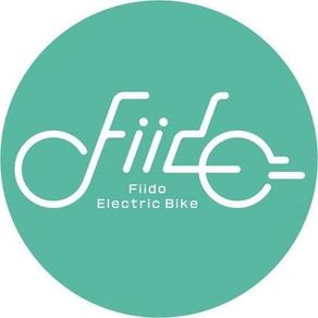 Fiido Electric Bike Servicing