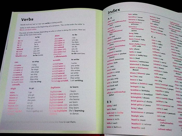 Collins very first Irish Dictionary Ireland Irish language Gaeilge