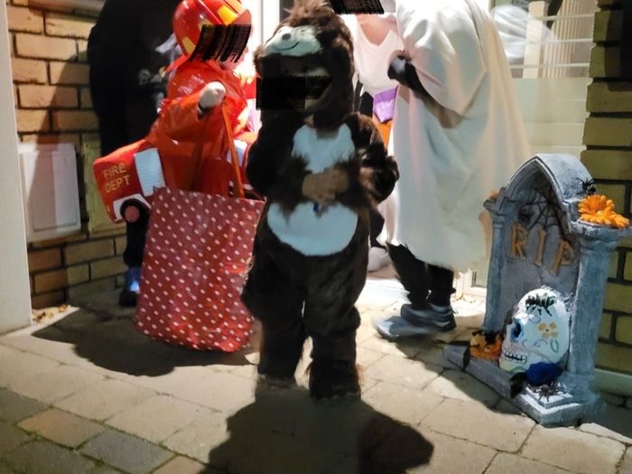 monkey costume