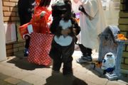 monkey costume