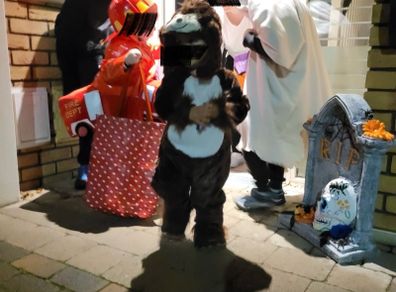 monkey costume