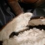 Tommy Hilfiger boots Image 3