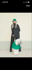 dog coat