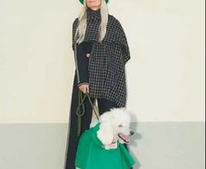 dog coat