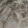 Round Hay bales Image 4