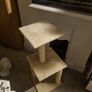 Cat Tower Image 2
