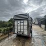 Ifor Williams box Image 6