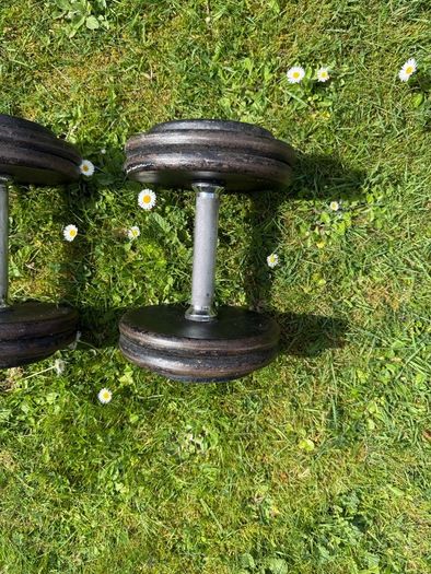 12.5kg Dumbbells x2