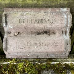 Roof tiles Redland 50
