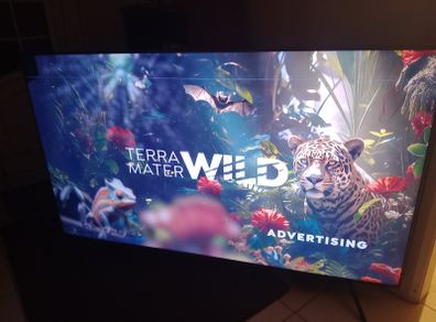 75 smart Tv
