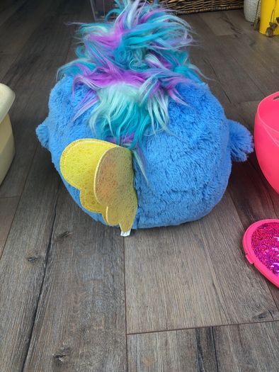 Rainbocorns