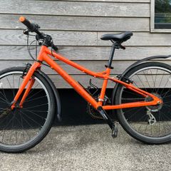 Carrera Abyss 24" kids bike
