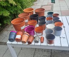 46 Plastic Plant Pots - all shapes and sizes