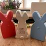 Lovely Easter/Spring  bunny rabbit and egg decor Image 5