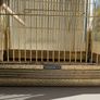 Antique vintage gold bird cage Image 2