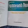 Leaving Cert Irish Image 2