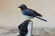 Hand-Carved Gemstone Swallow