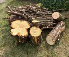 Logs.   Free. Clean. Dry medium wood.