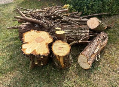 Logs.   Free. Clean. Dry medium wood.