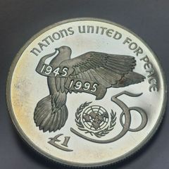 rare 1995 un pound