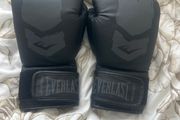 Everlast boxing gloves