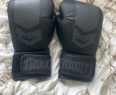 Everlast boxing gloves