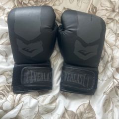 Everlast boxing gloves