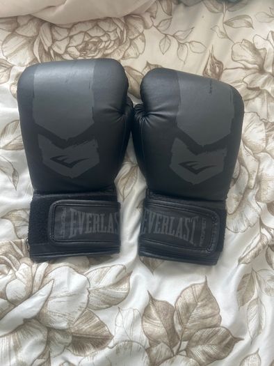 Everlast boxing gloves