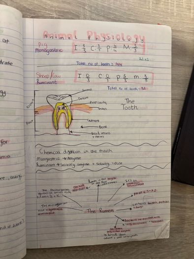 agricultural/ ag science leaving cert notes bundle